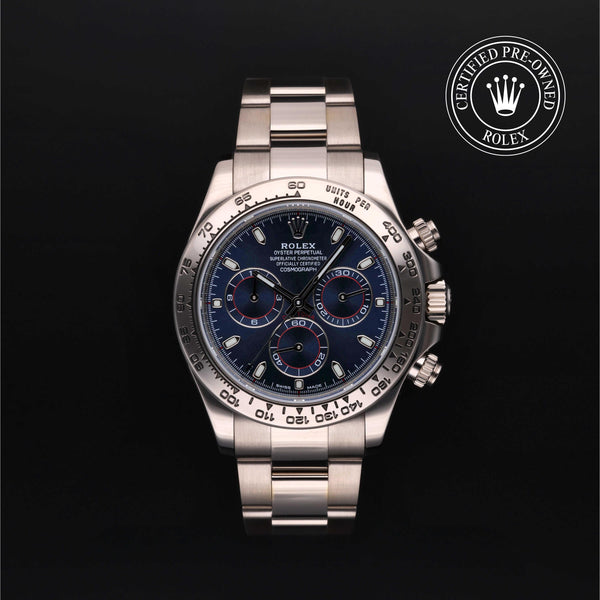 Rolex CPO Daytona M116509 front on white background