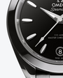 OMEGA Seamaster Aqua Terra 150M 30mm Steel on Steel Black Dial Watch