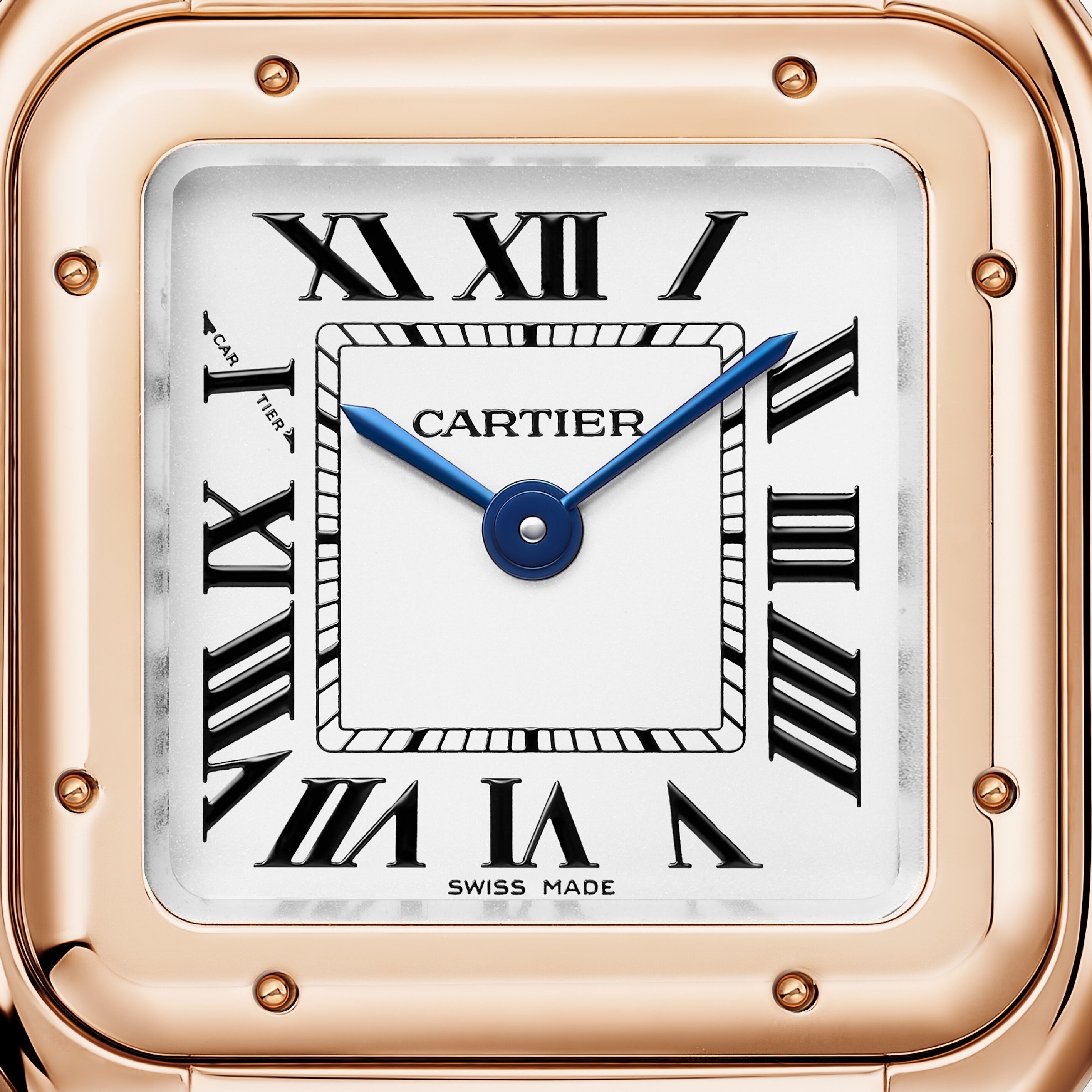 Cartier Panthère de Cartier Small Model WGPN0060 view 2