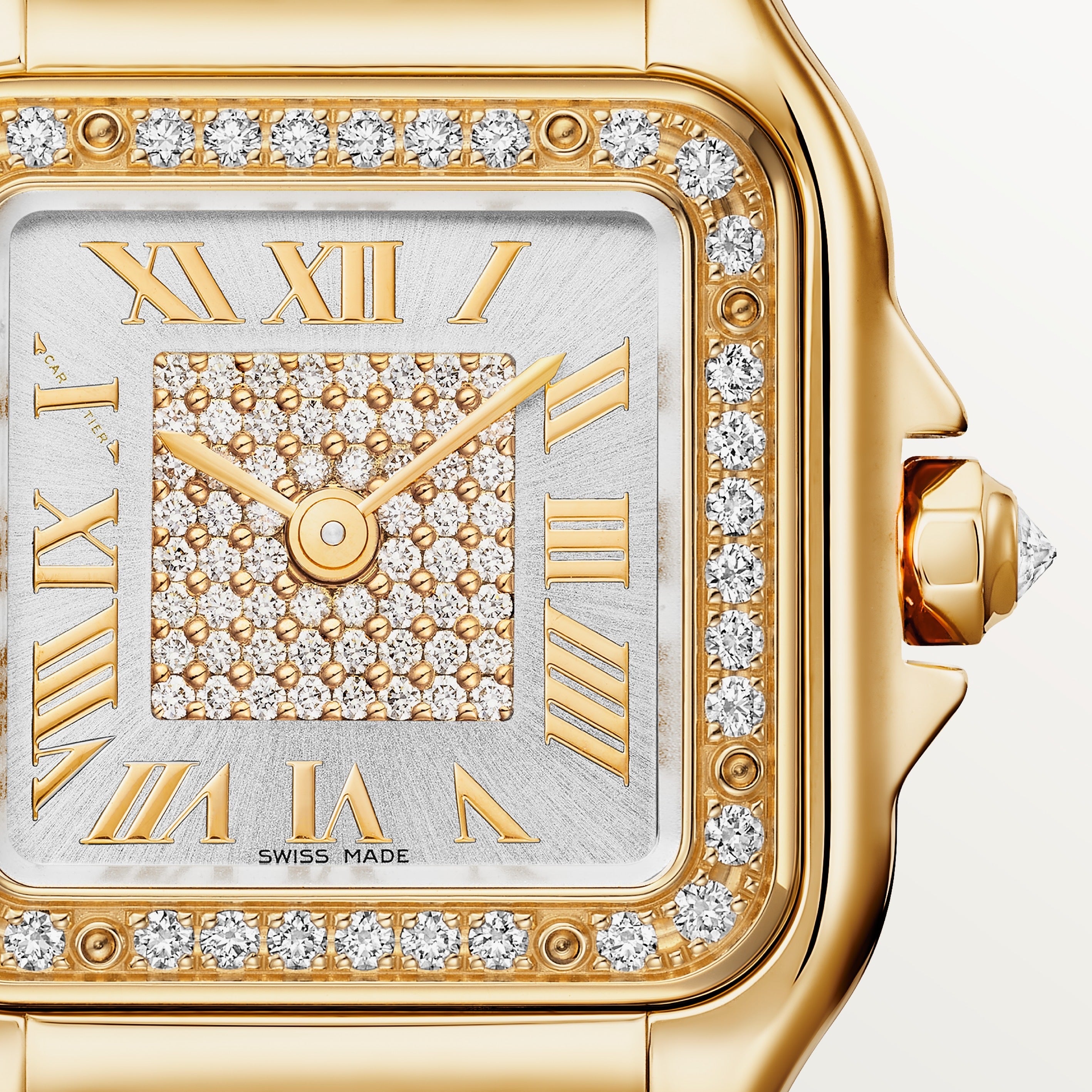 Cartier Panthère de Cartier Small Model WJPN0094 view 2