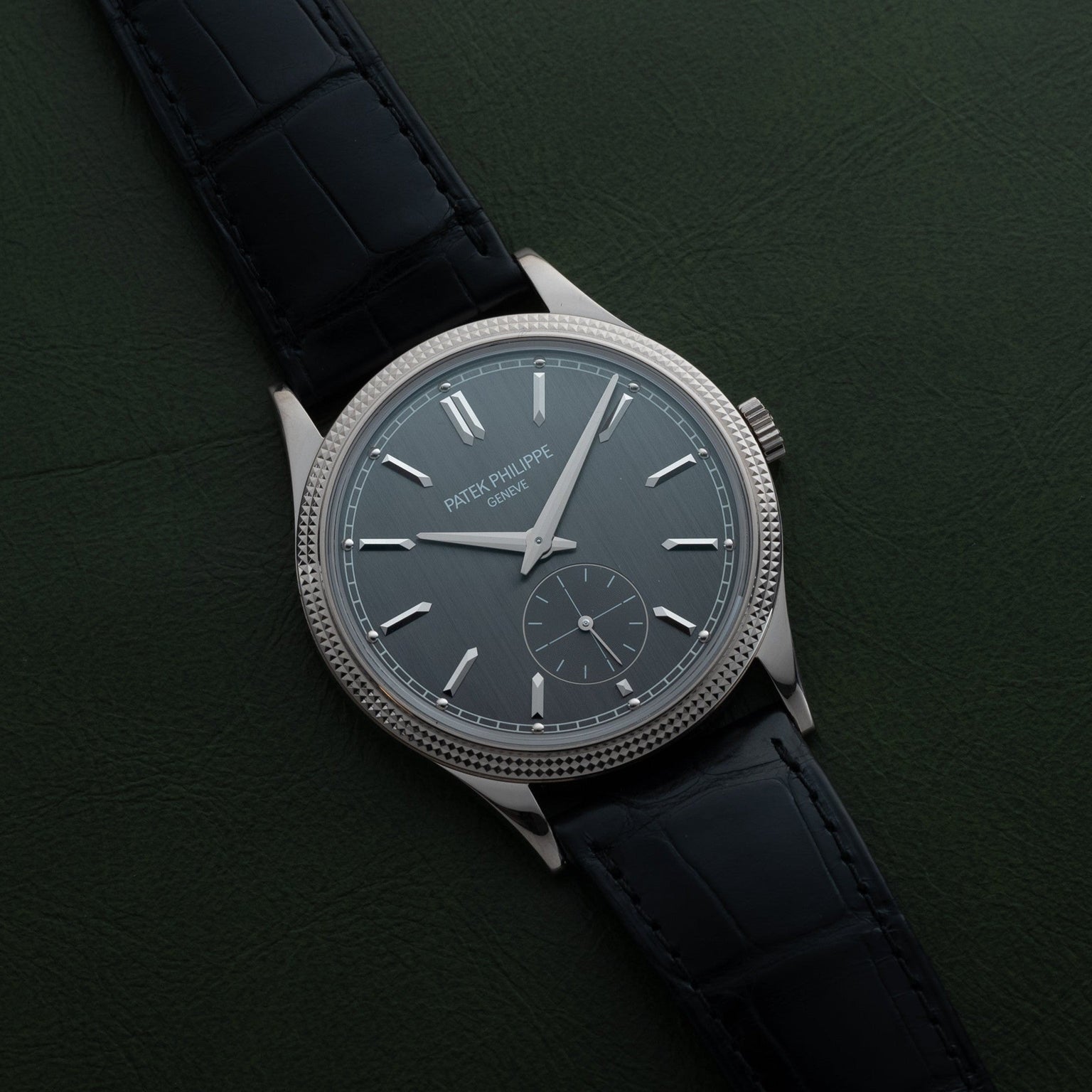 A Patek Philippe Calatrava wristwatch with a black leather strap is displayed against a dark green background.