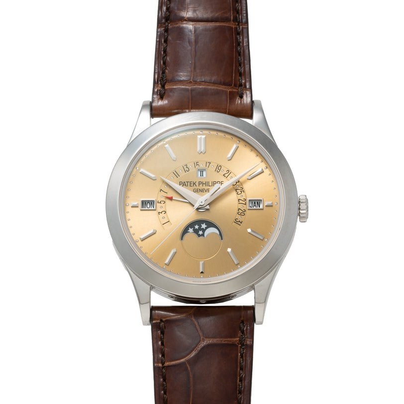 The Patek Philippe Retrograde Perpetual Calendar features a gold dial, brown leather strap, silver case, date display, and moon phase.