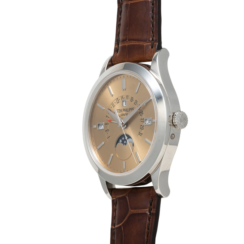 Side view of the Patek Philippe Retrograde Perpetual Calendar luxury watch featuring a brown leather strap and beige dial with date and moon phase display.