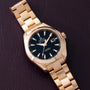 Omega Seamaster Aqua Terra