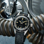 Ernest Borel Diver