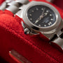 Enigma Ladies Sports Watch