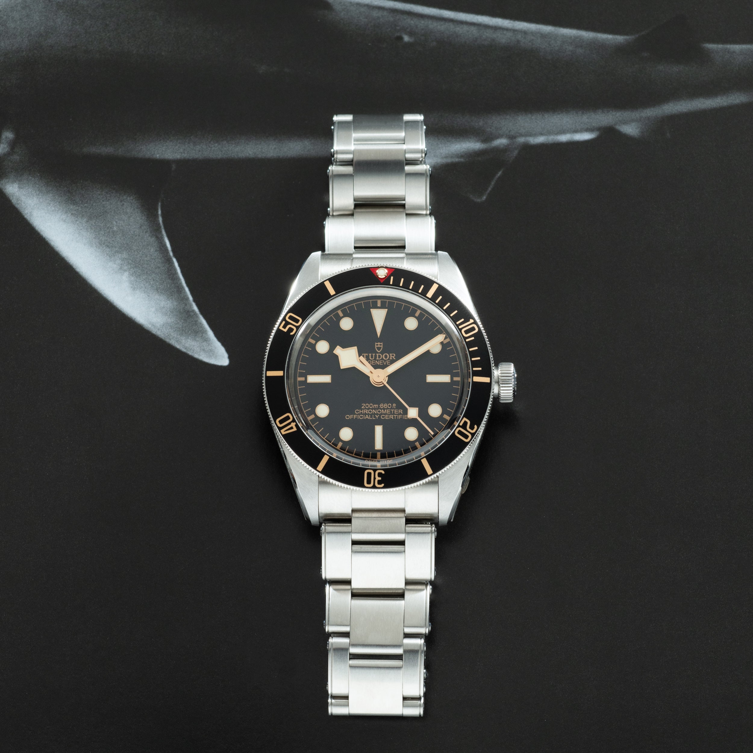 Tudor Black Bay 58