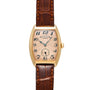 Franck Muller Master Cintrée Curvex Salmon Guilloche