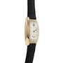 Franck Muller Cintrée Curvex Jumping Hour