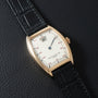 Franck Muller Cintrée Curvex Jumping Hour