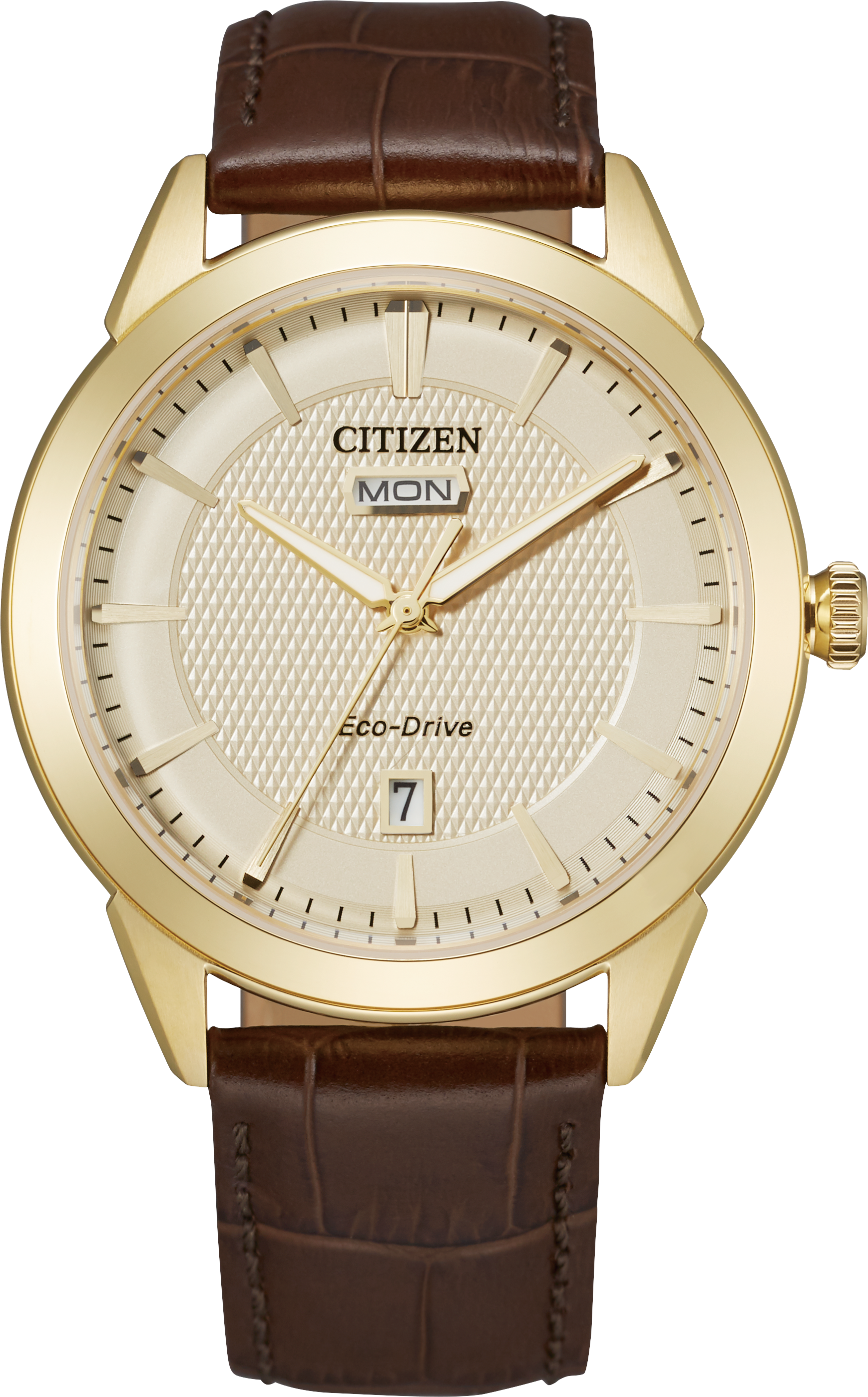 Citizen Rolan Steel 40 mm Eco Drive