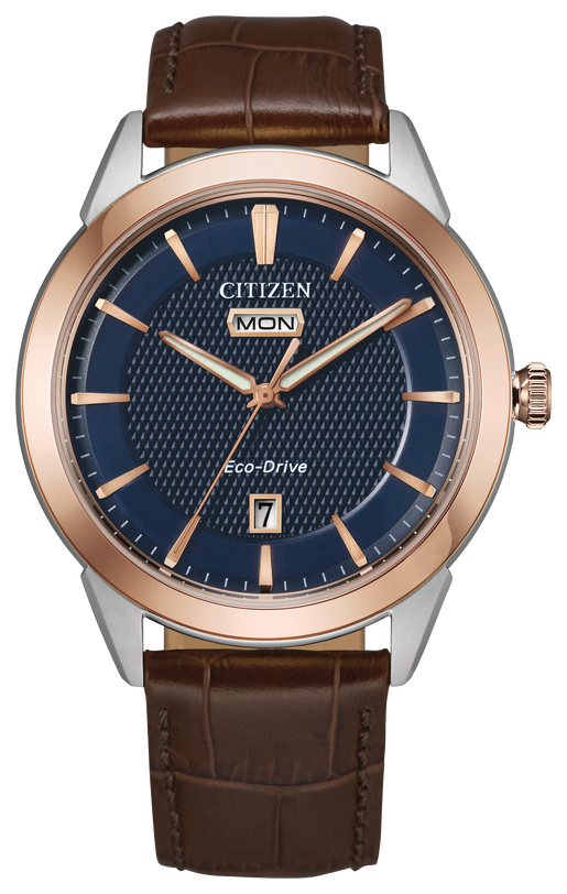 Citizen Rolan Steel 40 mm Eco Drive