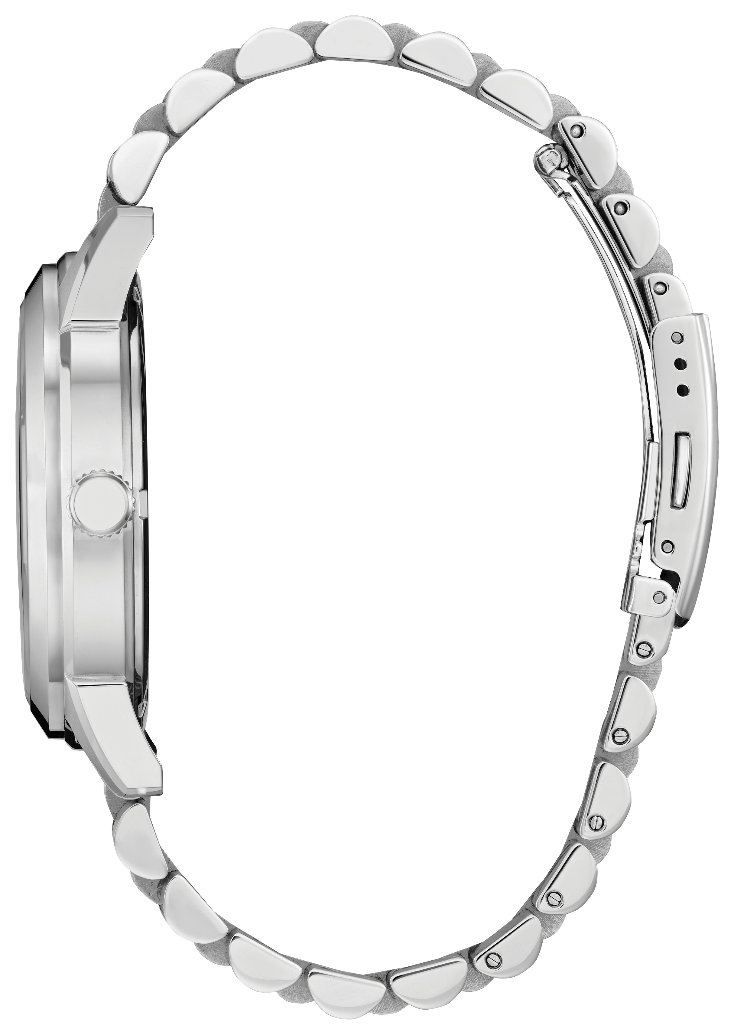 Citizen Rolan Steel 41 mm Eco Drive