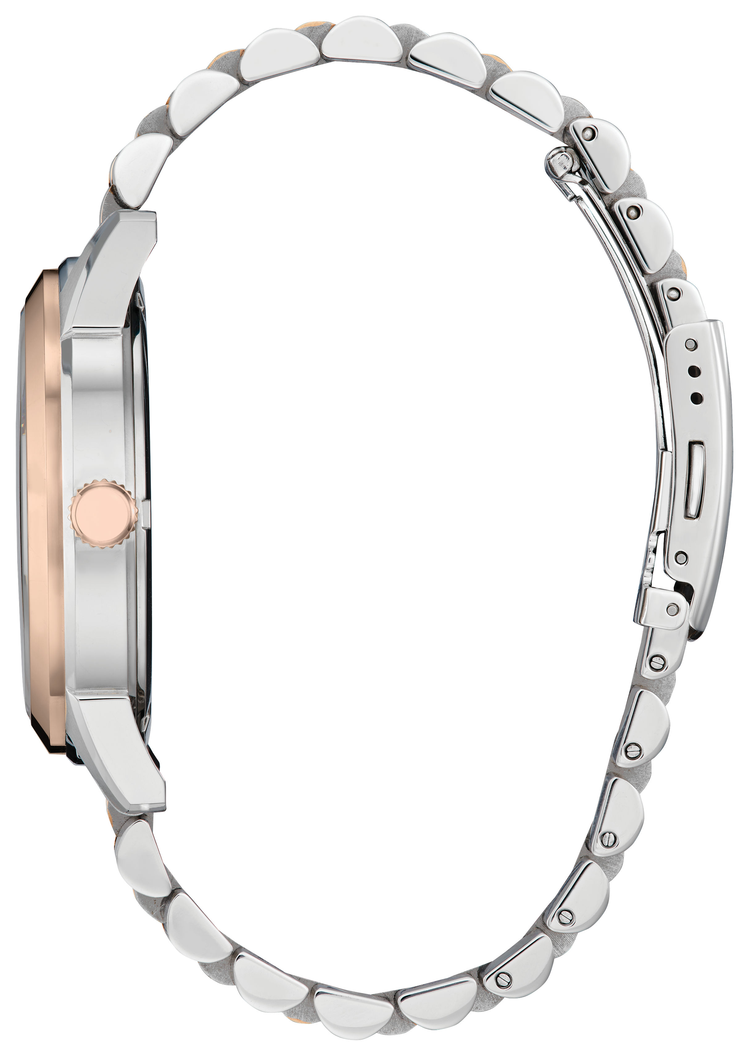 Citizen Rolan Steel 41 mm Eco Drive