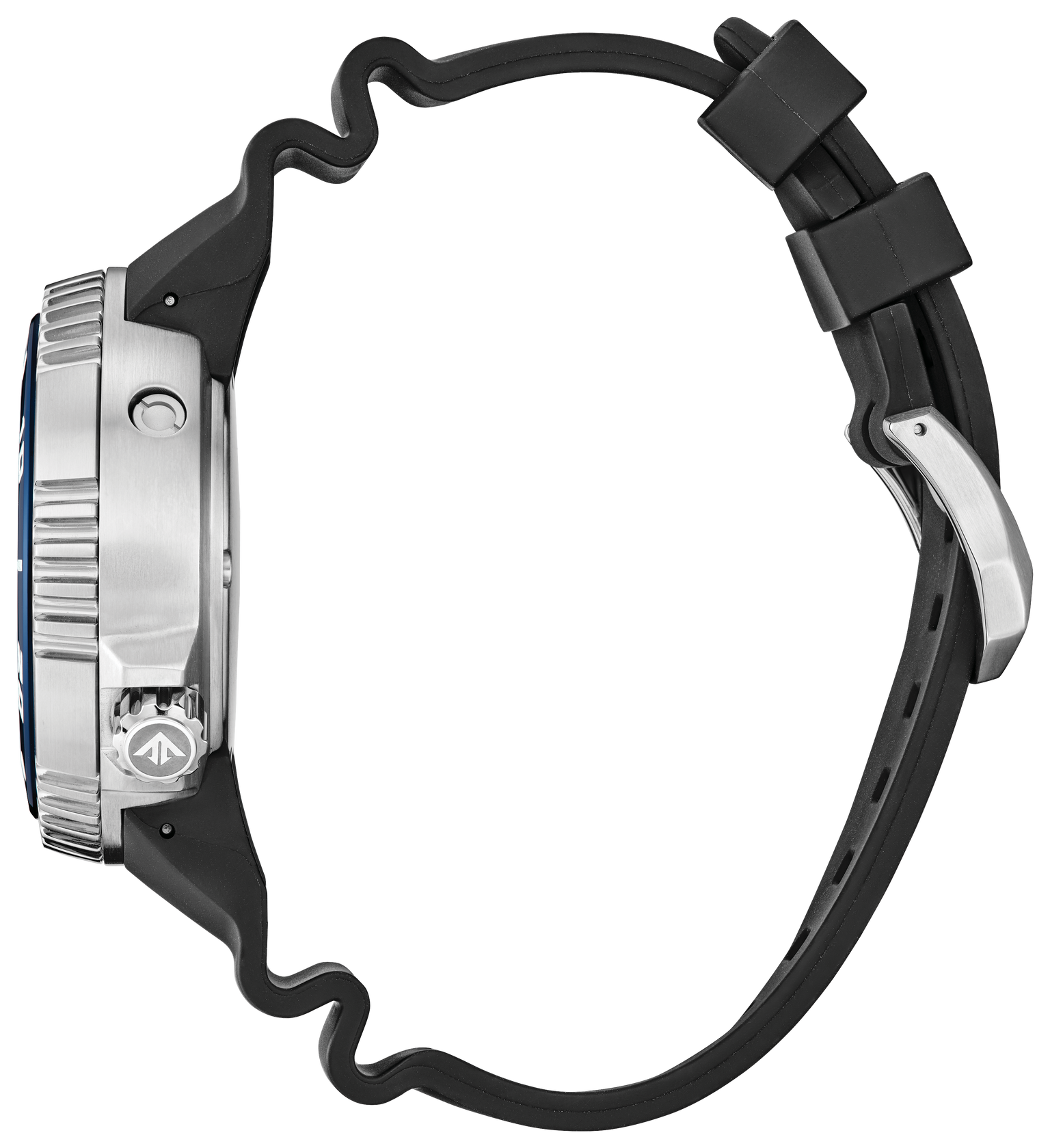 Citizen Dive Steel 46 mm Eco Drive