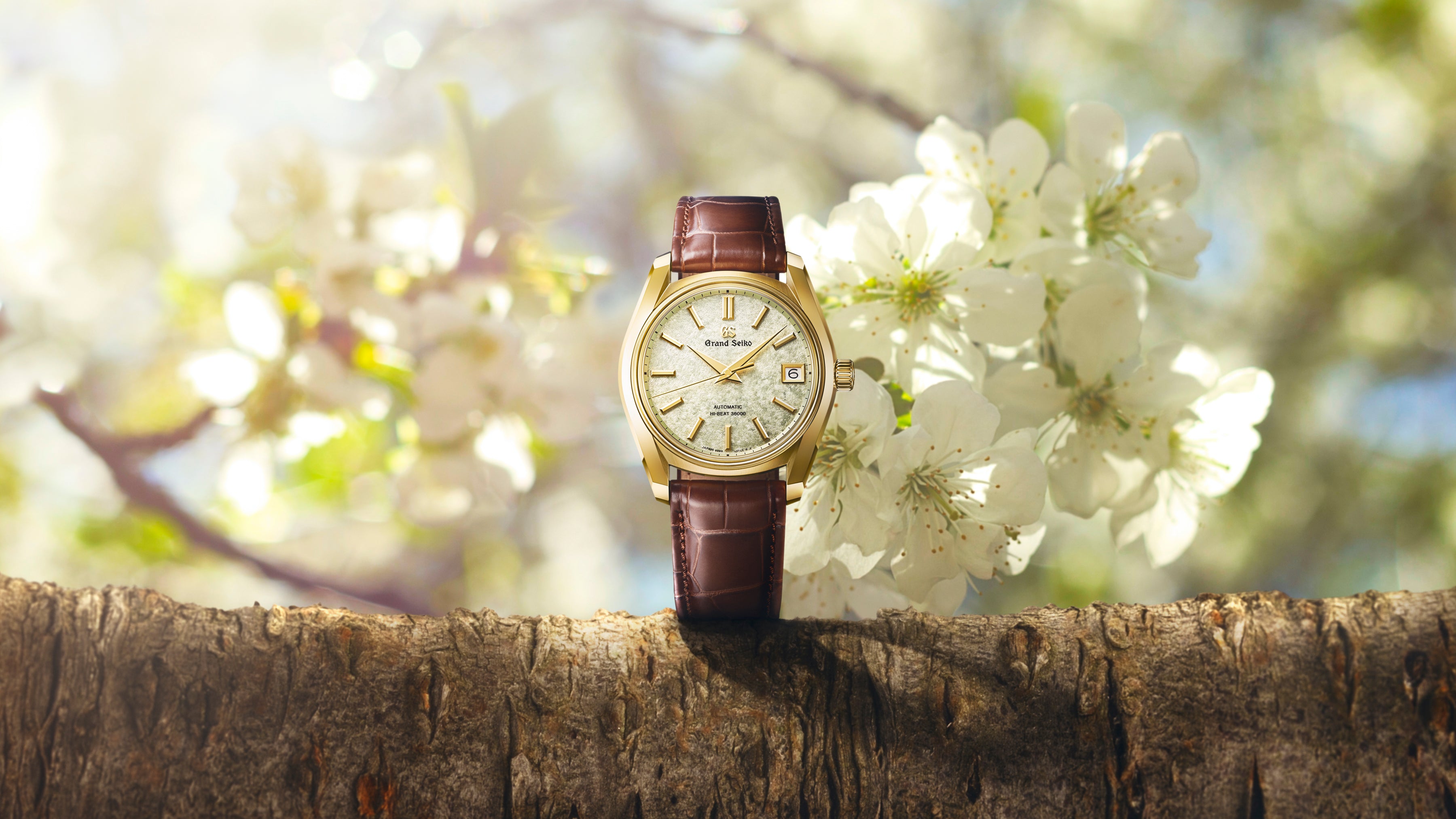 Gold-tone watch with cream dial, date window, and brown leather strap displayed on a wooden branch with white blossoms.