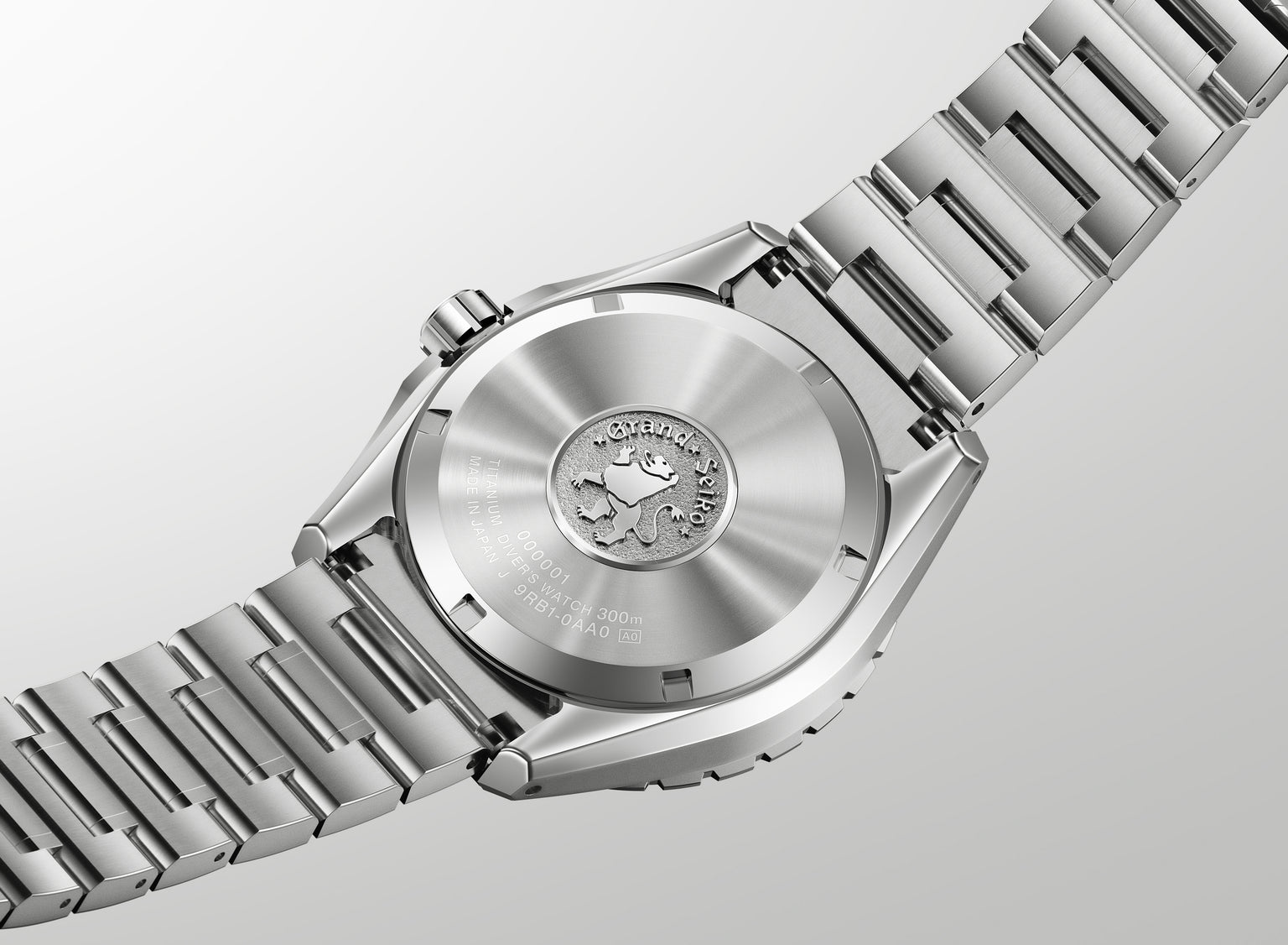 Stainless steel diver watch with brushed silver dial and matching metal bracelet, shown from caseback view.