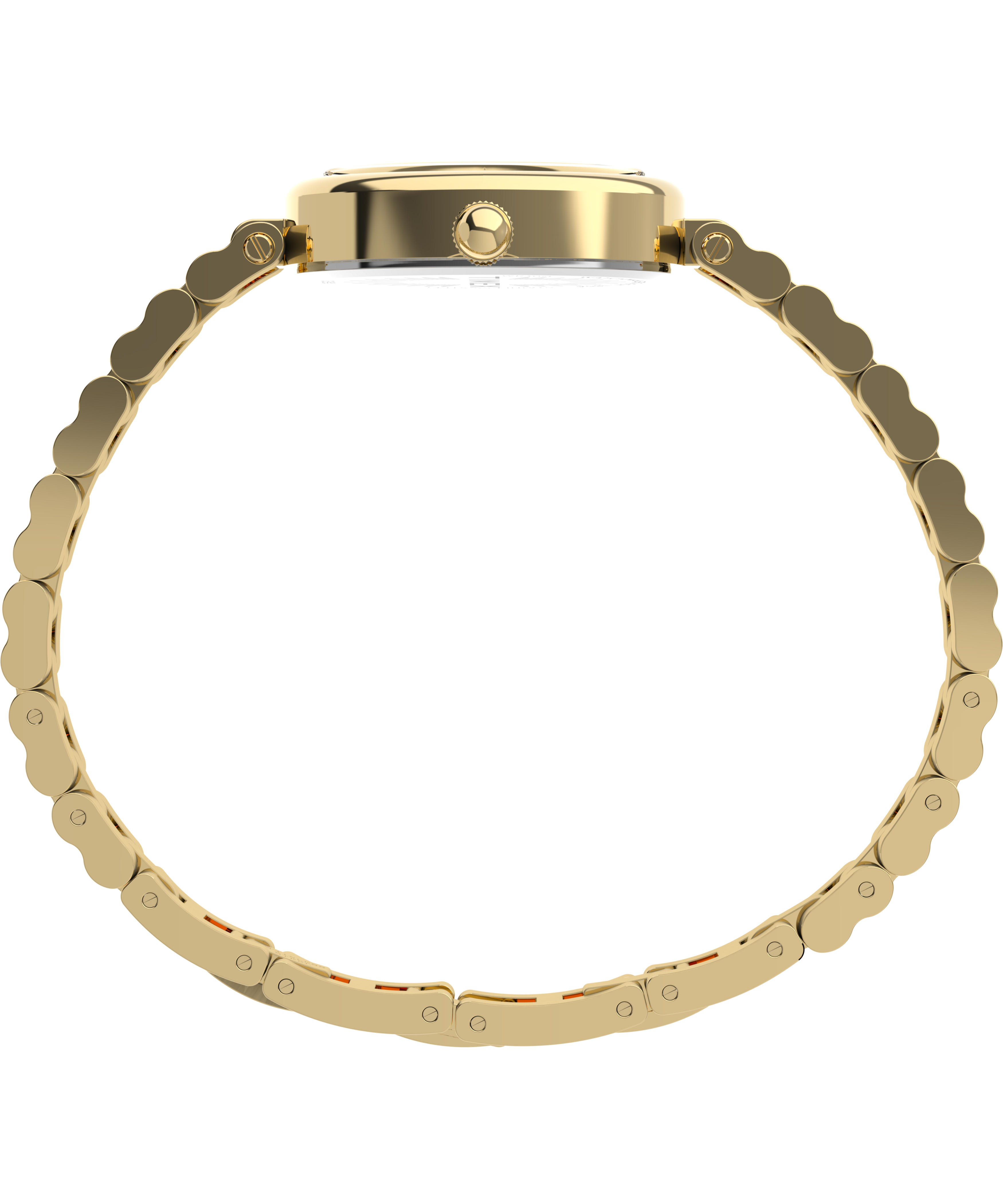 Cavatina® Luxe 22mm Stainless Steel Watch