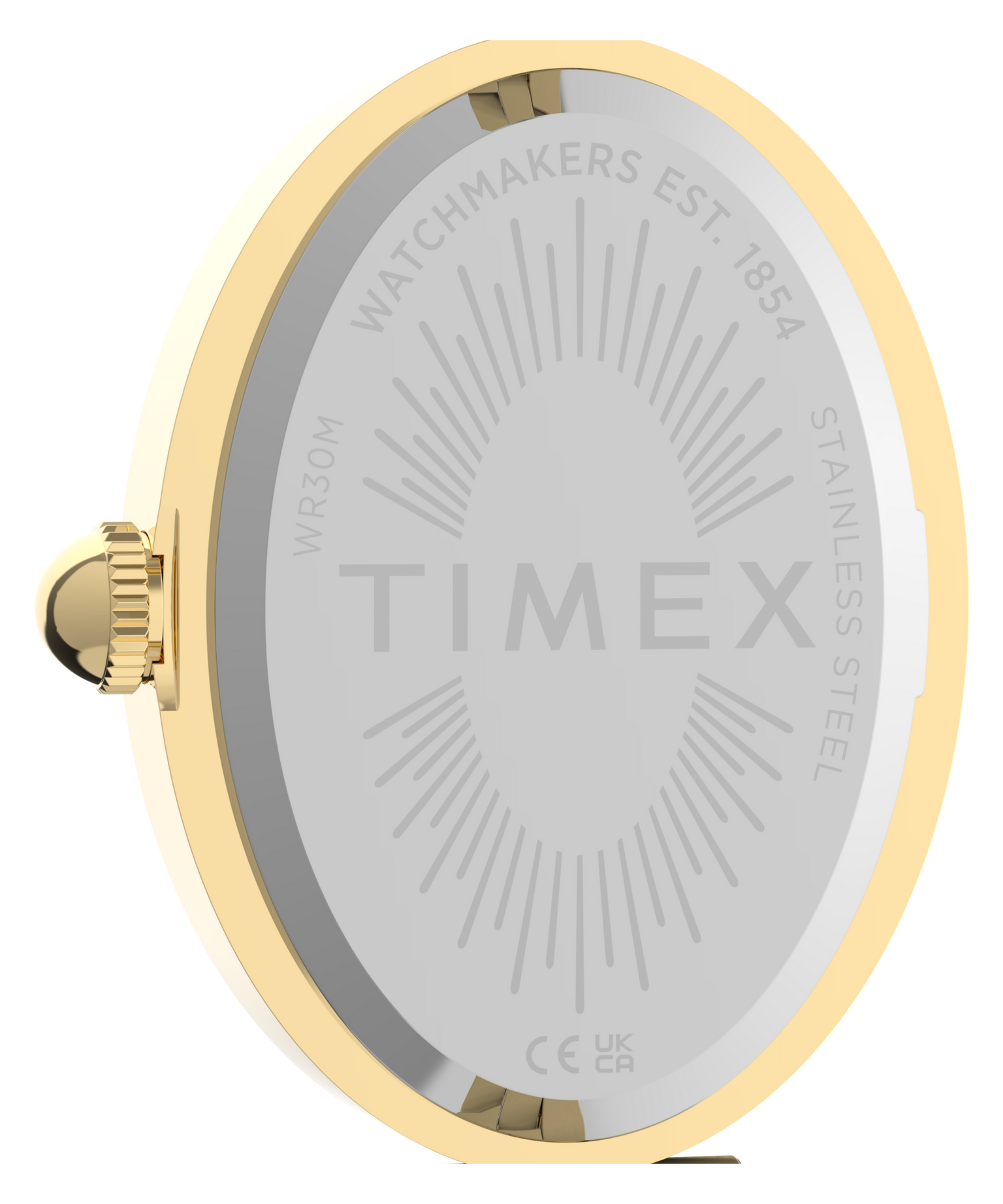 Cavatina® Luxe 22mm Stainless Steel Watch