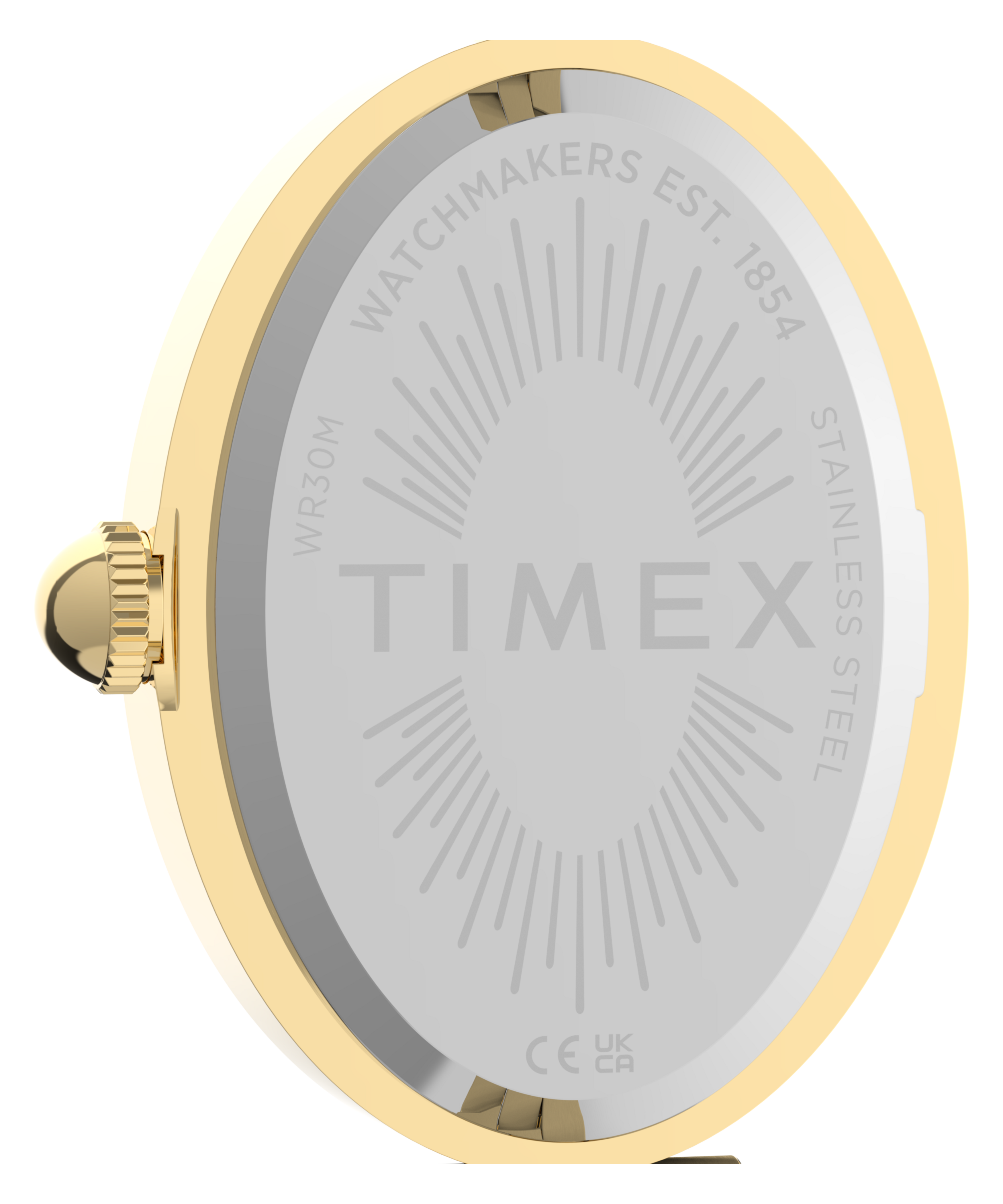 Cavatina® Luxe 22mm Stainless Steel Watch