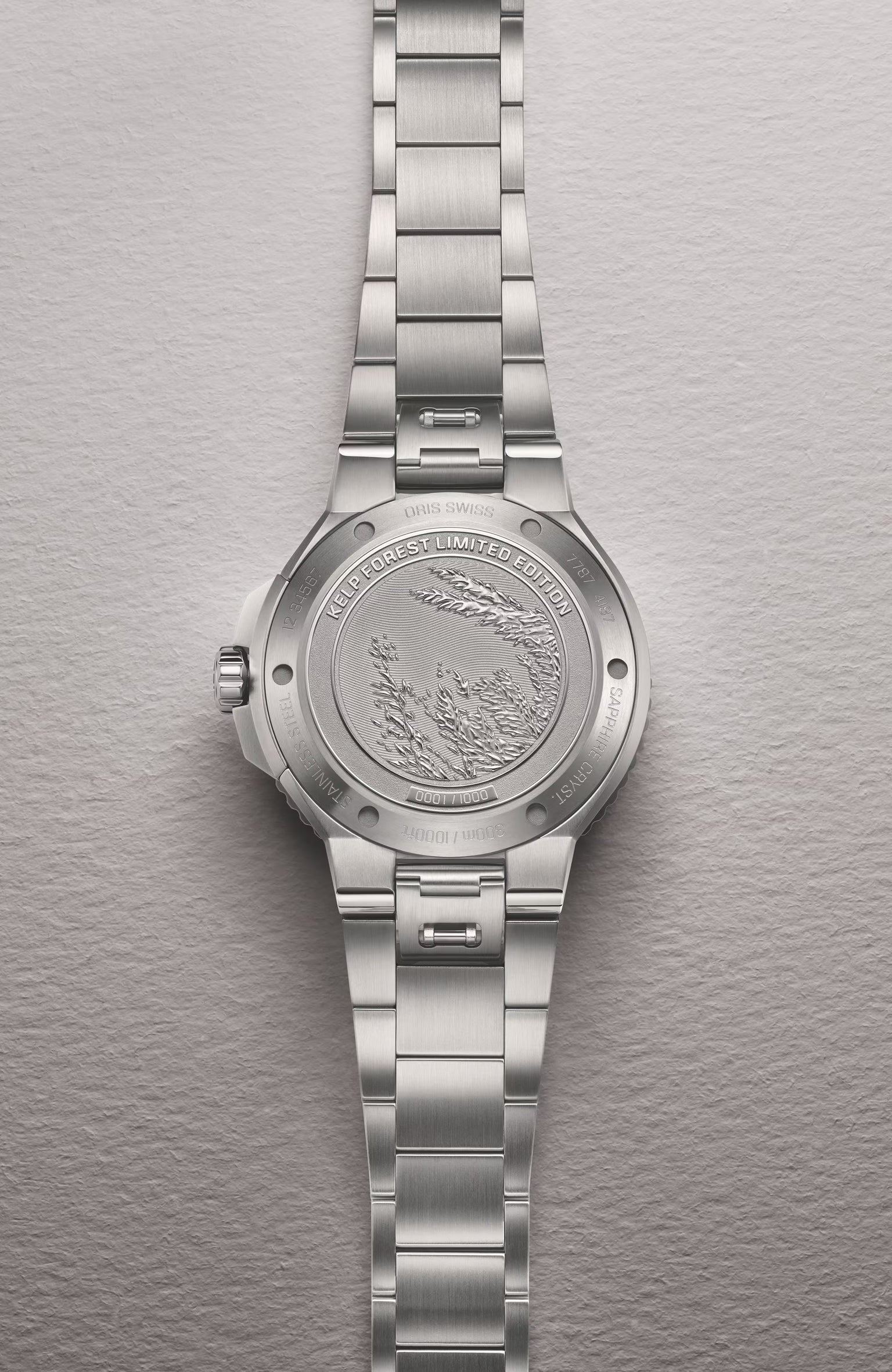 Aquis Kelp Forest Limited Edition | 41.5mm, Stainless Steel