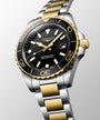HydroConquest | 42mm, Stainless Steel & yellow PVD, Black Dial