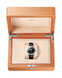 Constellation Observatory | 39mm, Glossy Leather Strap, Men's Watch