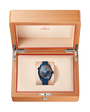 Seamaster Planet Ocean 600M | 45mm, Blue Ceramic and Rubber Strap, Men's Watch