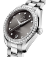 OMEGA Seamaster Aqua Terra 150M 30mm Steel on Steel Diamond Bezel Diamond Markers Grey Dial Watch 