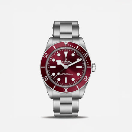 tudo black bay 58