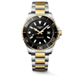 HydroConquest | 42mm, Stainless Steel & yellow PVD, Black Dial